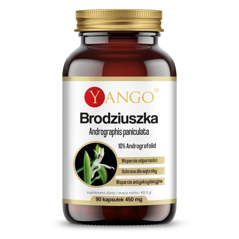YANGO Andrographis paniculata (90 kapslit) – Viking Supplements