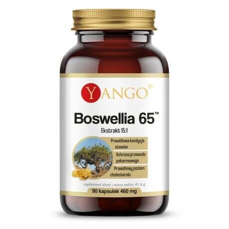 YANGO Boswellia 65 (90 kapslit) – Viking Supplements