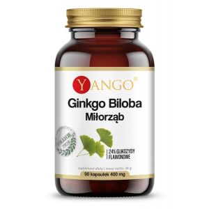 YANGO Ginkgo biloba (90 kapslit) – Viking Supplements